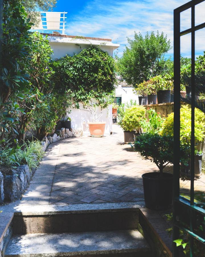 Bed and Breakfast Parco Augusto Capri Zewnętrze zdjęcie